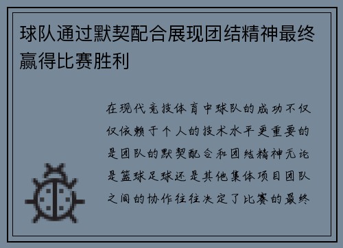 球队通过默契配合展现团结精神最终赢得比赛胜利